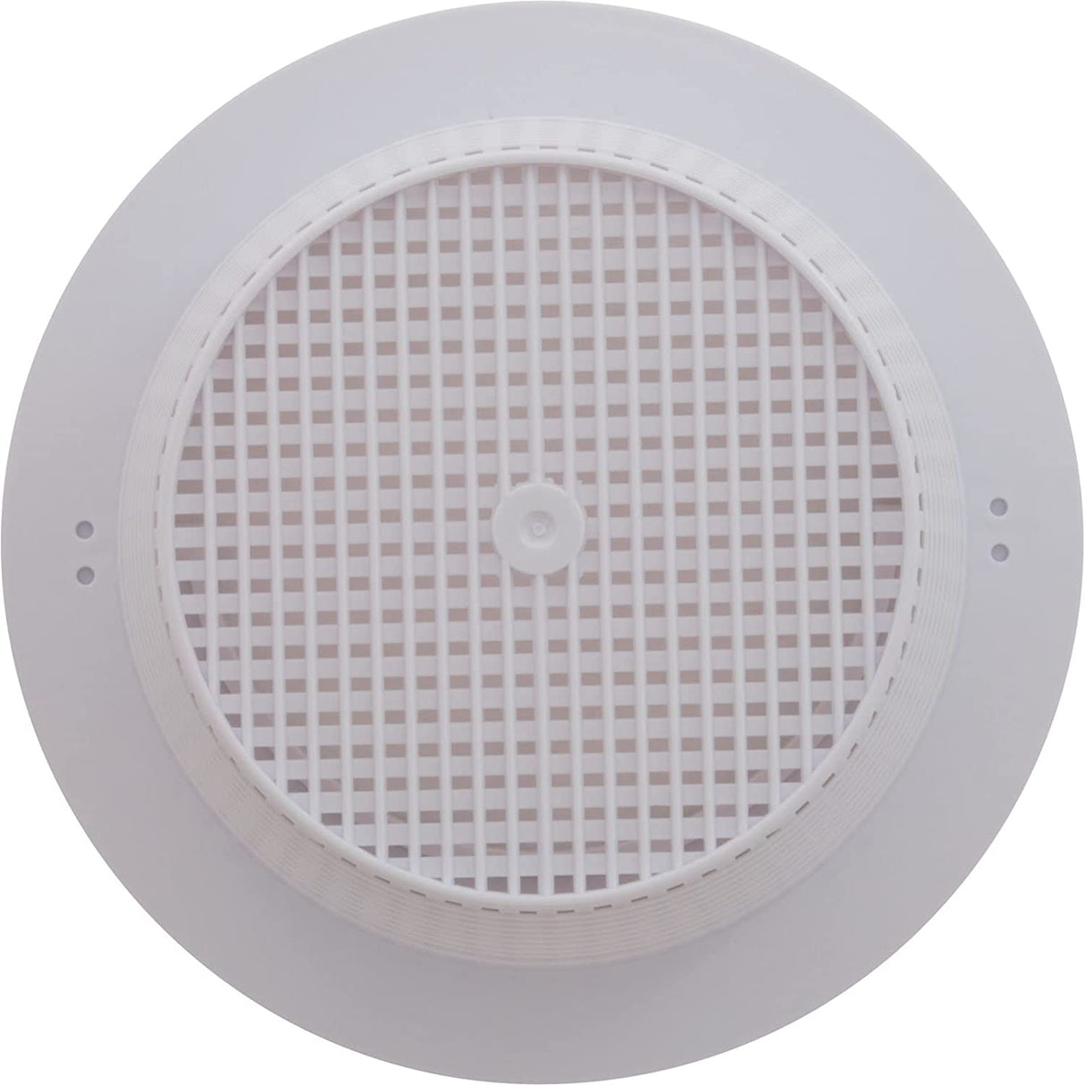 Pentair HydroSkim Pool and Spa Skimmer Basket
