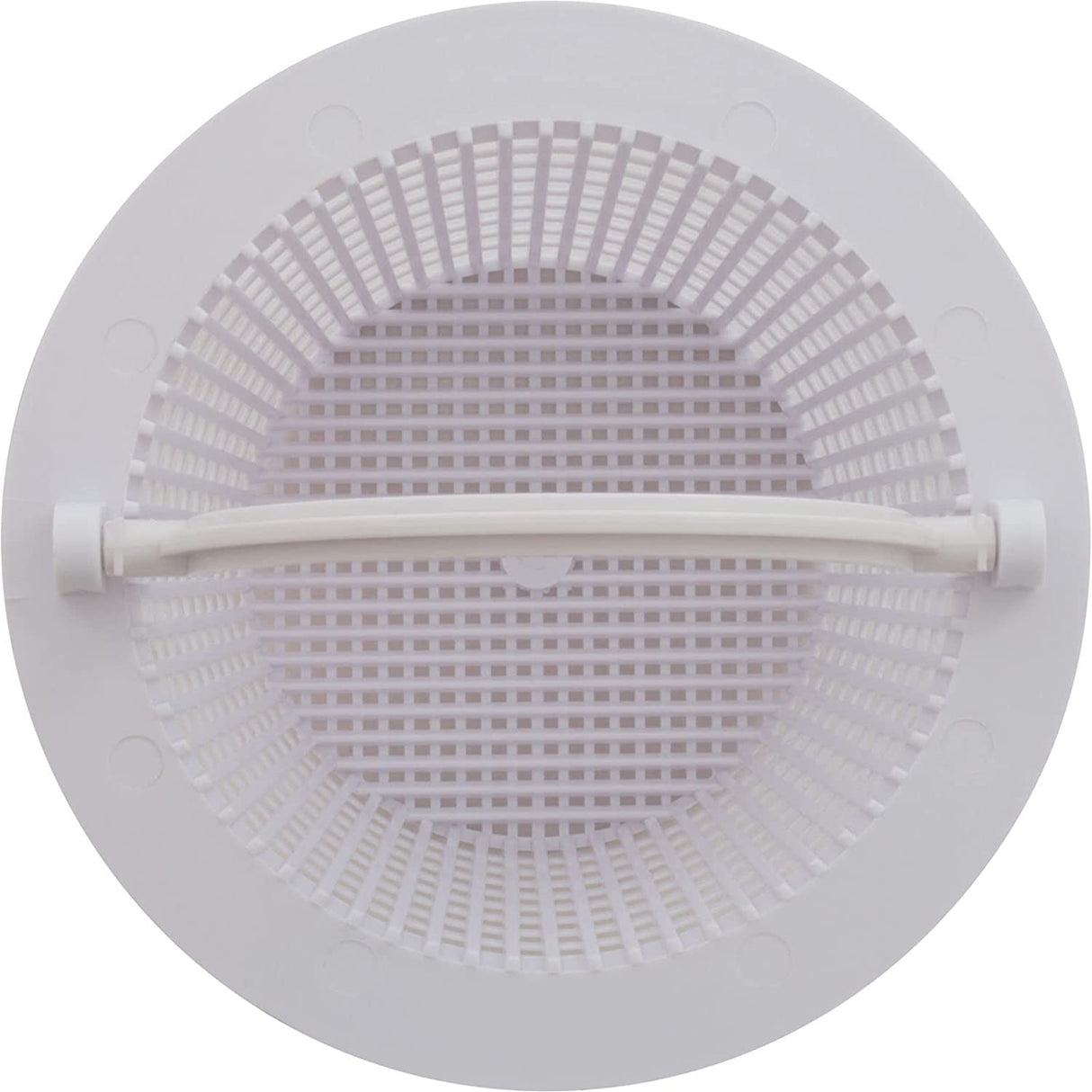Pentair HydroSkim Pool and Spa Skimmer Basket