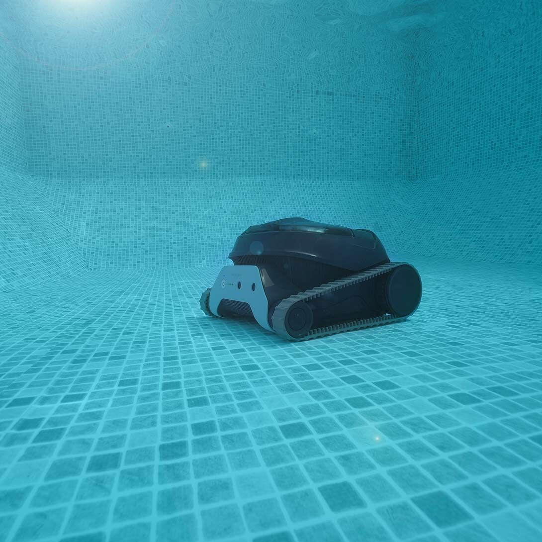 Dolphin Liberty 300