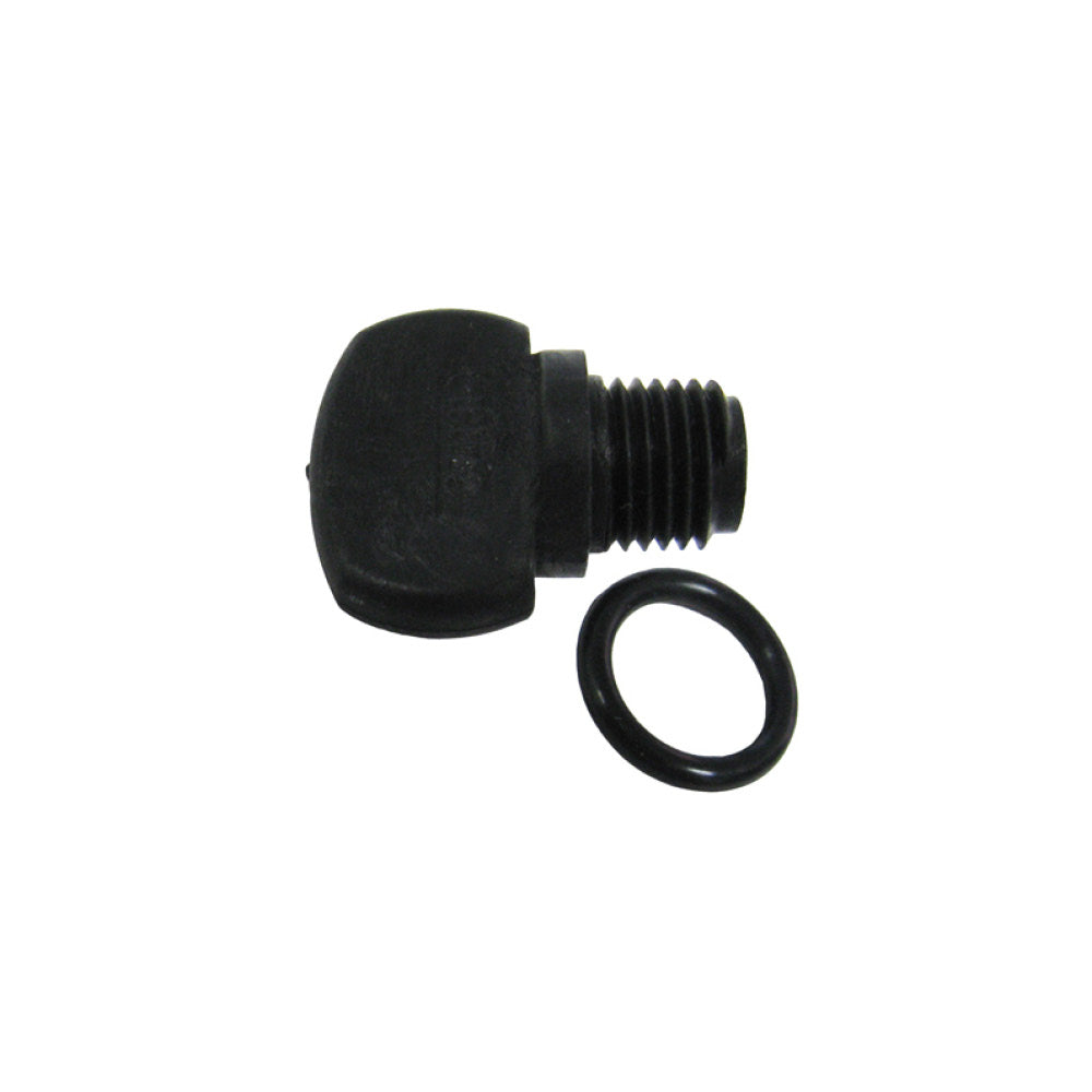 154699 - Pentair PacFab Drain Plug 1/4" with O-Ring